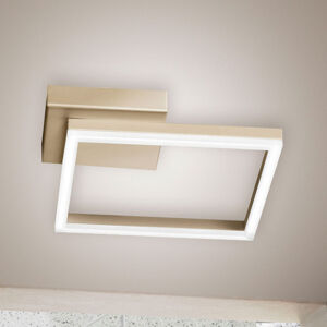 Fabas Luce LED stropní světlo Bard, 27x27cm, matná zlatá