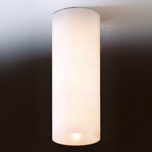 Top Light Prosté stropní světlo DELA z bílého skla