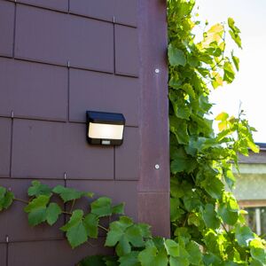 Eco-Light LED solární nástěnné světlo Try se senzorem pohybu